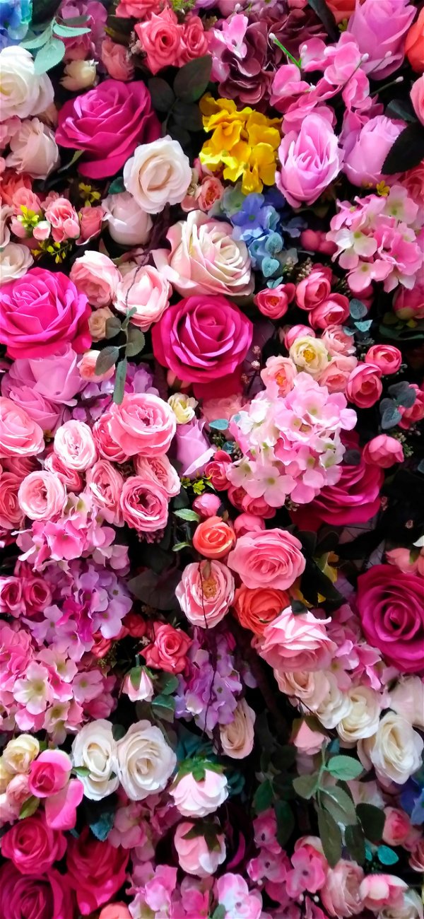 خلفية الورود الوردية المتنوعة الأشكال الجميلة للجوال