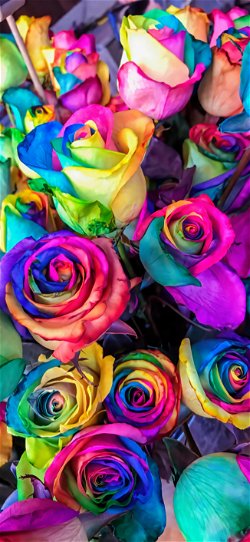 خلفية  زهور متعددة الألوان روعة  للجوال