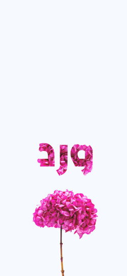 خلفية  زهور وردية مع كلمة ورد  للجوال